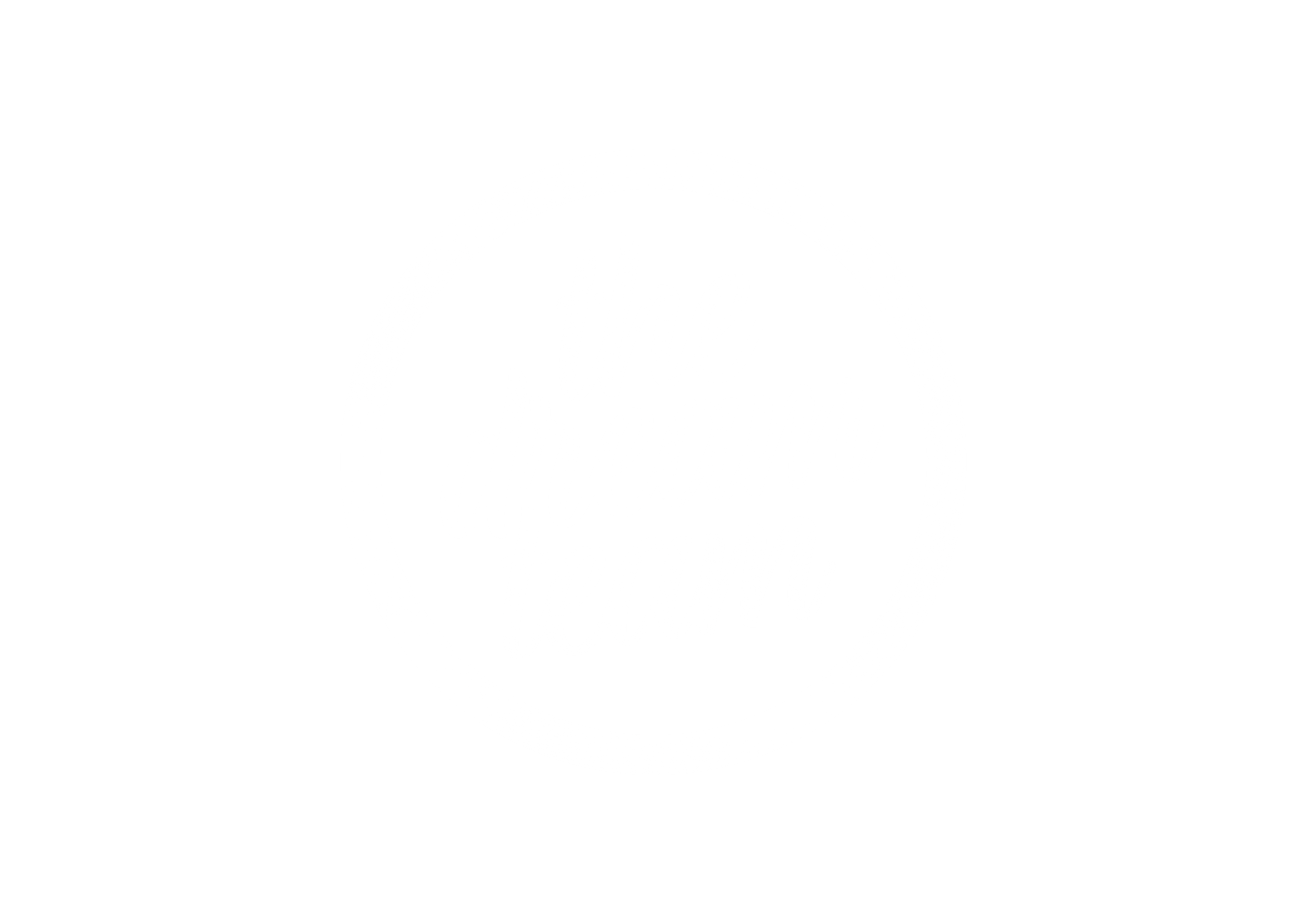 The Dream Team
